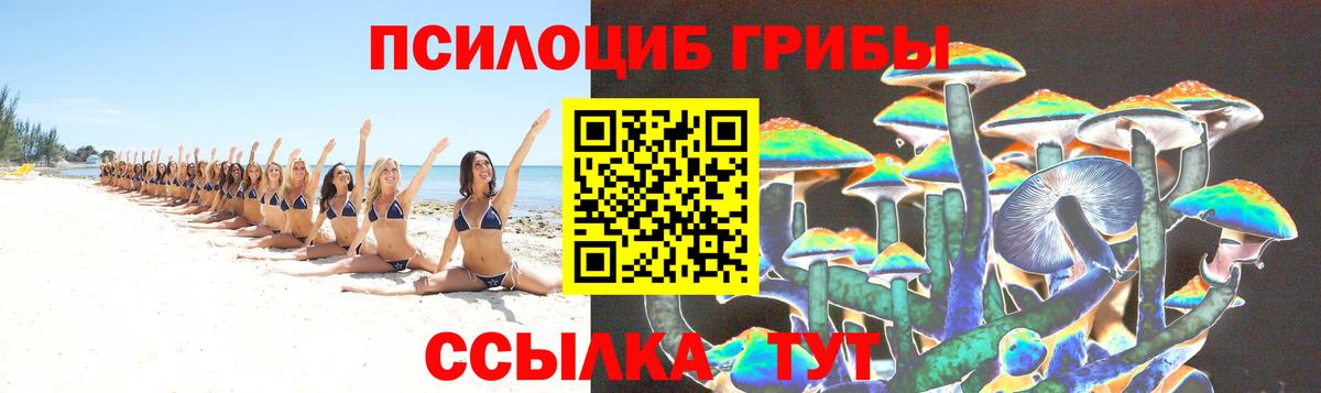 Псилоцибиновые грибы Psilocybine cubensis  Вход с VPN  Псилоцибиновые грибы прущие грибы  Менделеевск 